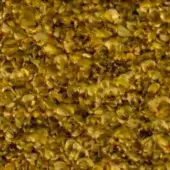 Fibrous texture composed of golden yellow and olive green organic material, displaying a mottled, uneven surface with diffused lighting.